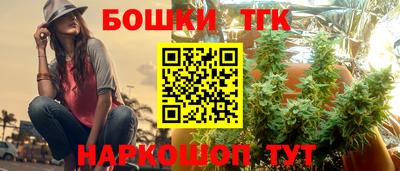 индика Шелехов