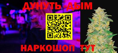 индика Шелехов
