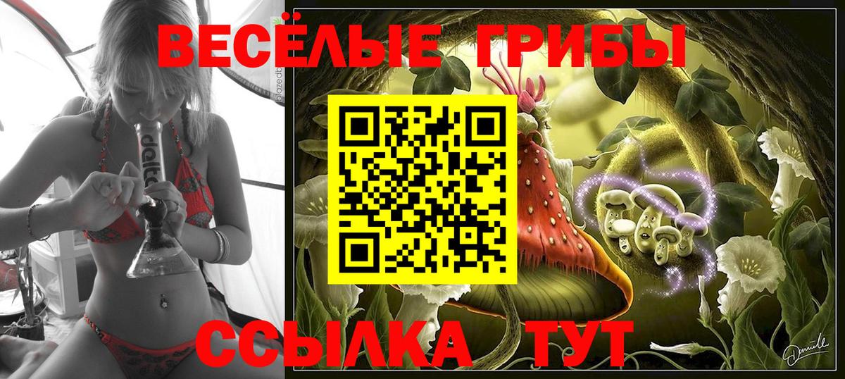 Галлюциногенные грибы ЛСД Бузулук