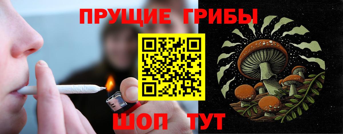 Бузулук  Галлюциногенные грибы GOLDEN TEACHER  Псилоцибиновые грибы Cubensis  Вход с VPN 